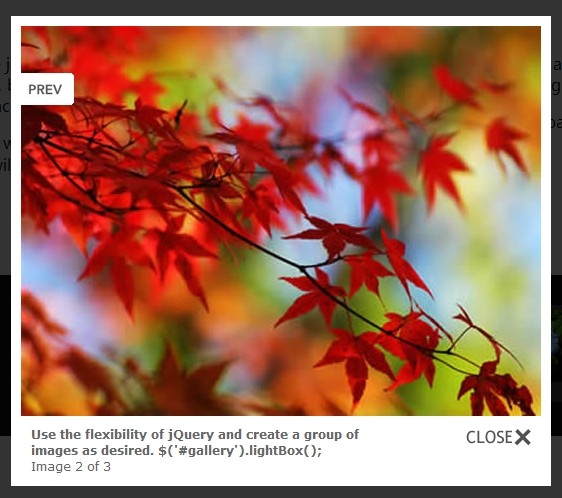 jQuery avioli lightbox